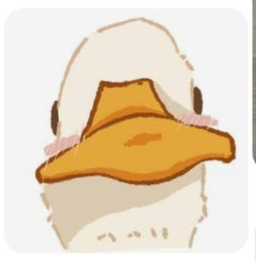Ducks!